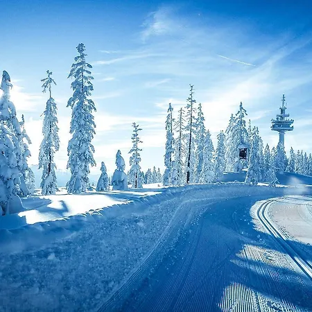 아파트 Central Apartment 라드스타드트