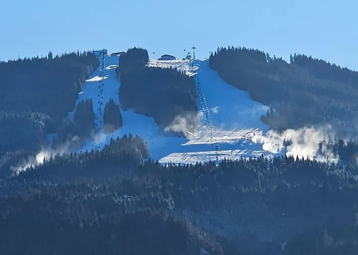 Central Apartment Lejlighed *