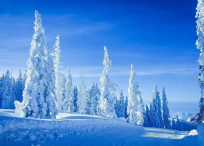 Lejlighed Central Apartment *