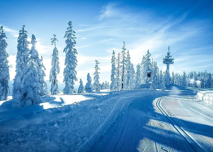 Lejlighed Central Apartment Radstadt