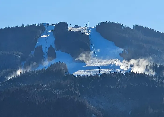 Central Apartment Lejlighed Radstadt